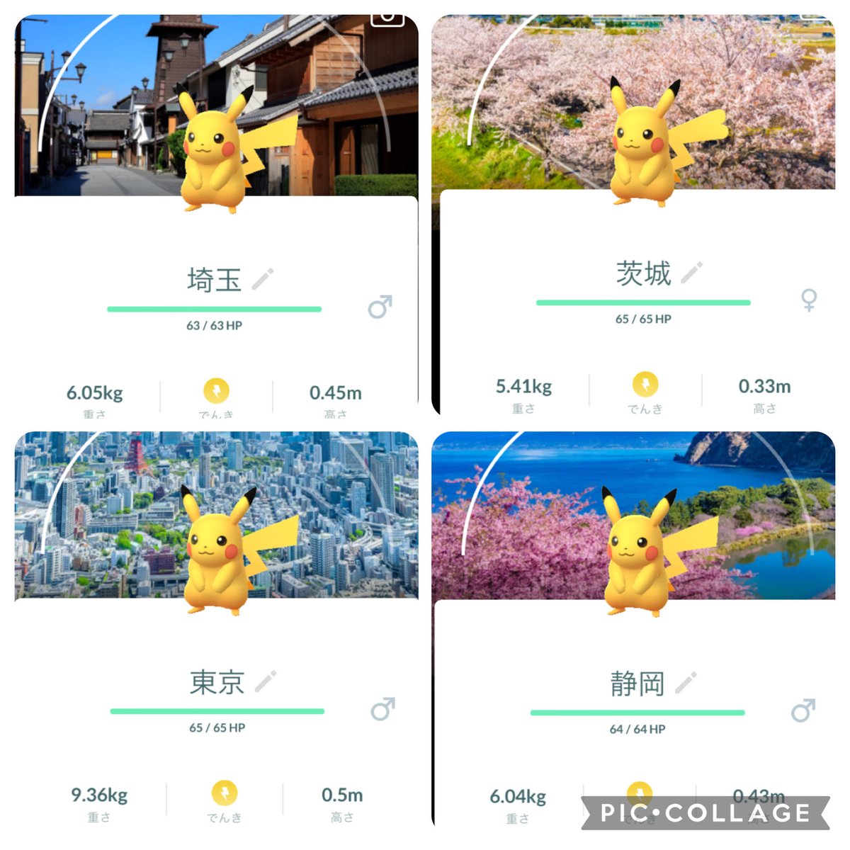 eisuke1204sss's tweet photo. ポケふた　新潟集めて11県目

いまだ一度も焦げたことないぞ

次はどこのピカチュウ捕りにいくかな

#ポケふた https://t.co/Kvl1B0TJ6Y