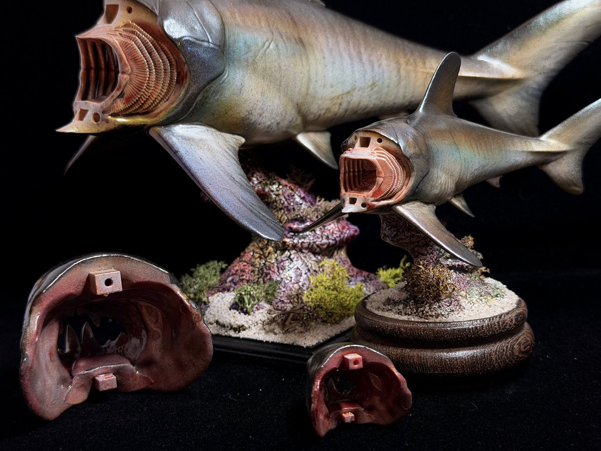 nao70shark1's tweet photo. 多分世界で唯一のゴルゴニクティスの立体物
古生物好きさんにオススメ！！
鰓も作り込んでるよ！ https://t.co/MuzFlJYUfA