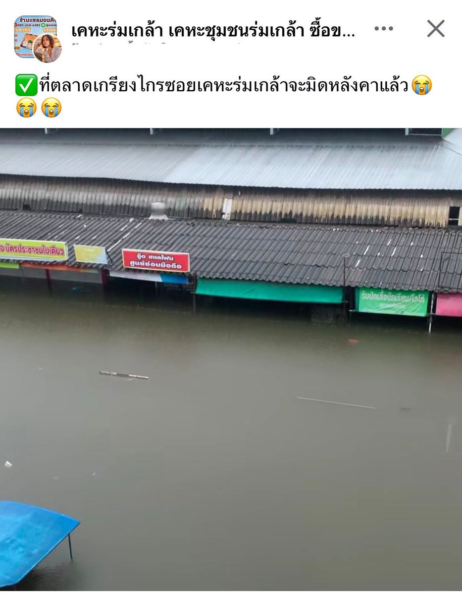 Perkofbeingme's tweet photo. ฝากรีทวิตกระจายข่าวทีค่ะ ตลาดเกรียงไกรหนักมากอะ จะมิดหลังคาแล้ว 😭 เห็นแล้วใจเสียแทน ในกลุ่มนี้เห็นคนถ่ายอัปเดตตลอด สงสารมาก 🥹#น้ำท่วม https://t.co/tpauJ8V5lP