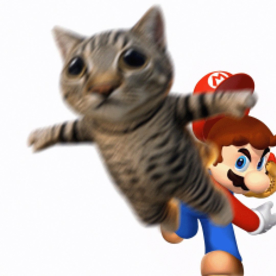 Lorenzo_Sol_'s tweet photo. @LagxSol Meow? https://t.co/7SicTGWYPk