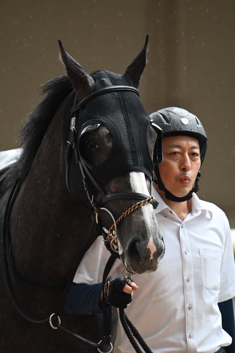 sball_dictus's tweet photo. #メイショウナルカミ
#ゴールドシップ https://t.co/sDs8Z41G37