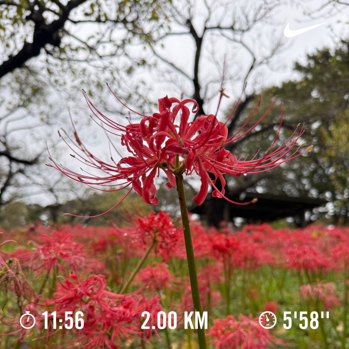 runrunrunning21's tweet photo. ランニング🏃　#848走目 https://t.co/aMmrtDIU9c