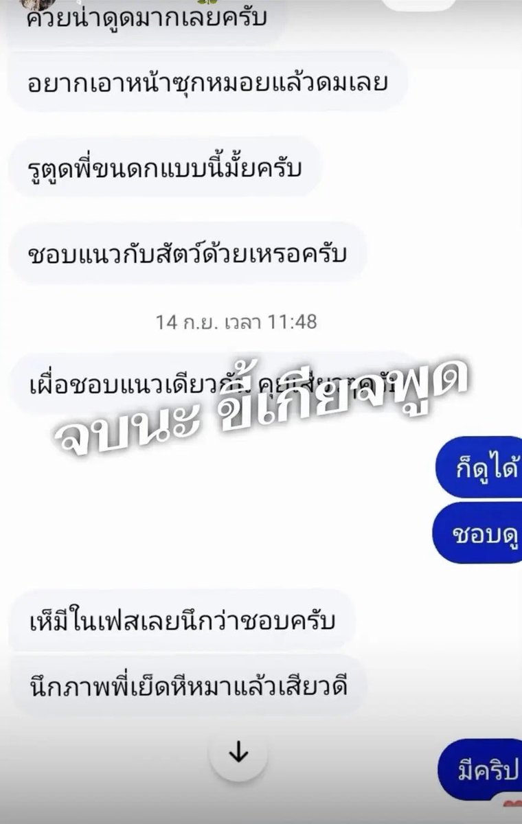 Pum201800's tweet photo. คนปกติจะประชดแฟนด้วยการคิดเรื่องมี พสพ กับสัตว์ได้จริงๆ หรอ?

ตอนแรกเห็นแต่งตัวแต่งหน้าแปลกๆ แต่ก็เก๋ดี ดูเขาไปเรื่อยๆ ก็สดใส ความคิดบวก น่ารัก ก็ไม่คิดว่าจะแปลกขนาดนี้ แฟนนอกใจจะประชดแฟนมี 108 วิธี แต่ชีเลือกวิธีที่ 109🤢 https://t.co/zRtCfr0omH