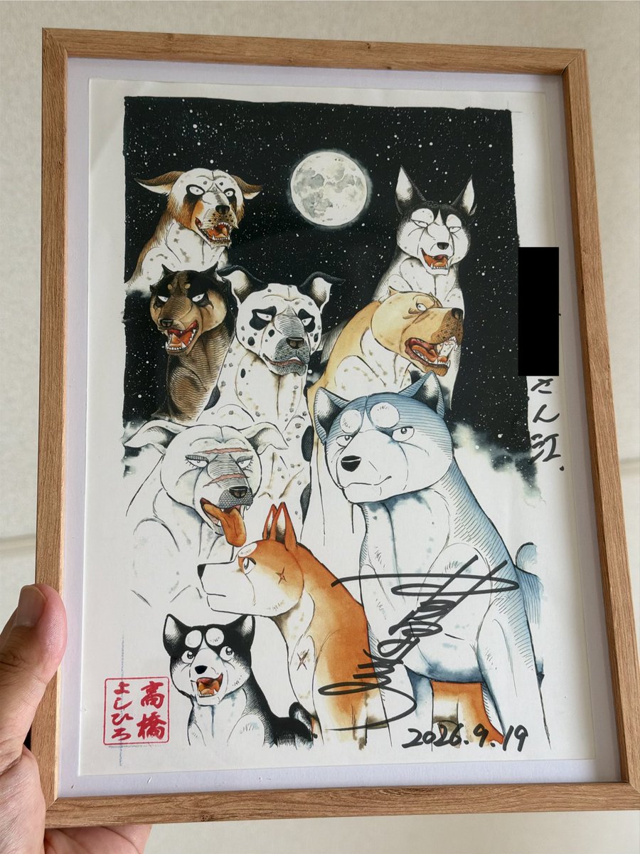 320eppoy's tweet photo. せっかくよしひろ先生にサインを描いていただいたのに、折れたりグチャグチャになってしまっては先生に申し訳ない。そう思ってとりあえず額縁買って入れたのだが、問題はその後どうするか

壁にかけるにしても、賃貸だから壁に穴開けるわけにもいかないし‥‥umm https://t.co/jiH3JXA6aV
