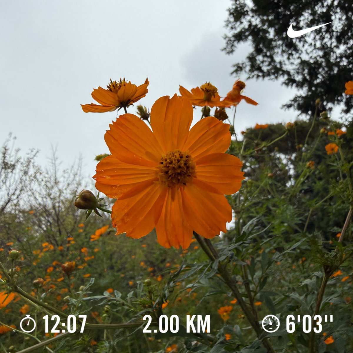 runrunrunning21's tweet photo. ランニング🏃　#849走目 https://t.co/jVllHRbboE