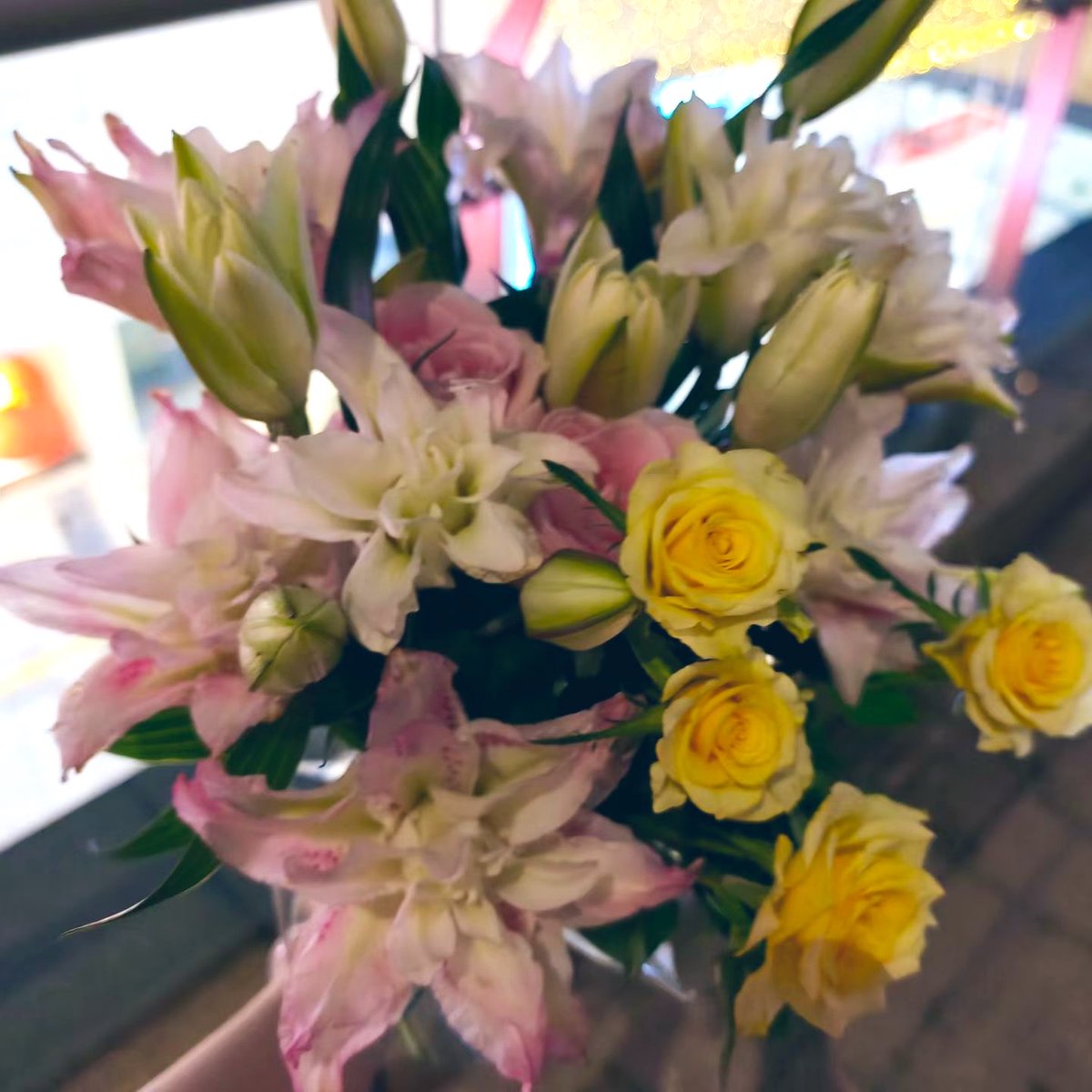suosuotree's tweet photo. 跟我约会的话我可能会选一起逛逛花鸟市场 https://t.co/vR7Xr8x54t