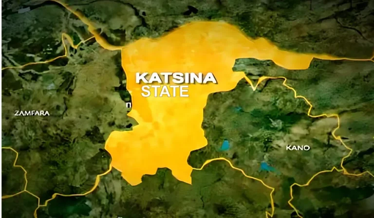 PoliticsA6's tweet photo. Nigeria’s Katsina State Police have arrested a 27-year-old man, Sada Tambai, over the alleged killing of his 80-year-old father in Mundadu village, Bindawa Local Government Area.

#Nigeria https://t.co/I7na7oMXQe