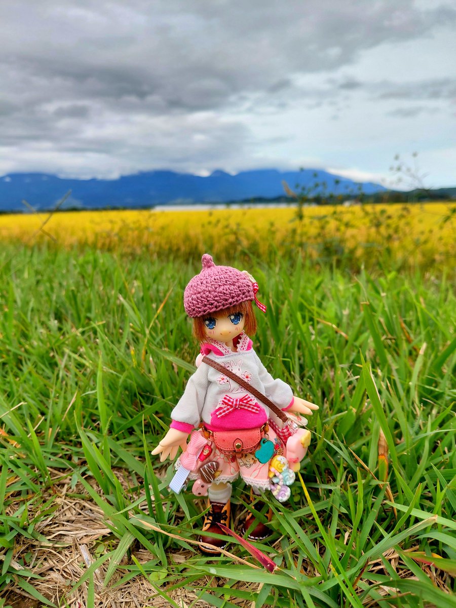 nonpubakudan's tweet photo. 心地よい✨️風が🍃吹いてる🪴🌬🌬 https://t.co/zkoVcU79aW