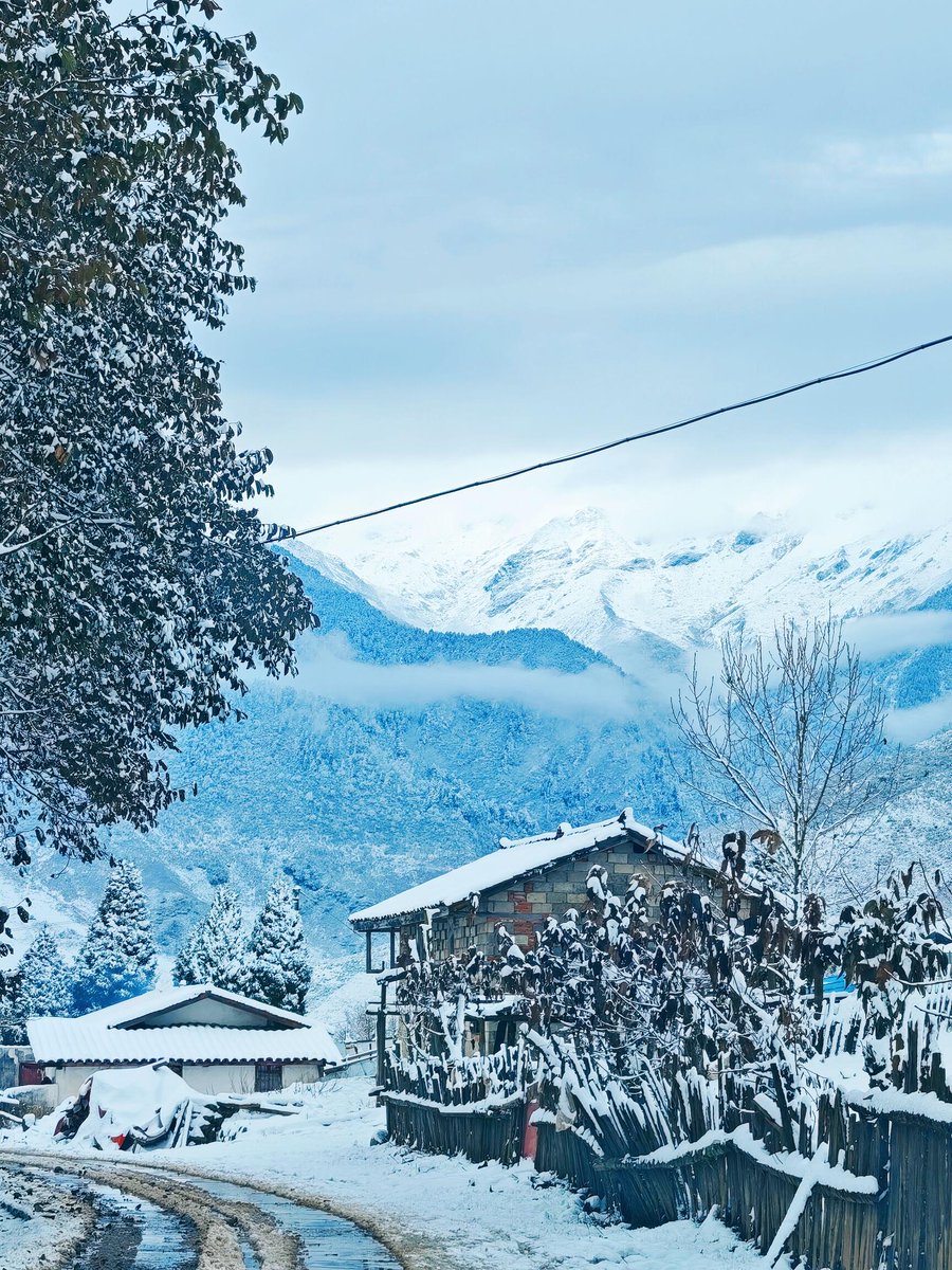 VerniceAttinger's tweet photo. La primera nevada del ao cubre el parque de blanco! Un desayuno caliente y un paseo tranquilo, así se empieza esta hermosa maana de invierno. https://t.co/JycbCv0j47