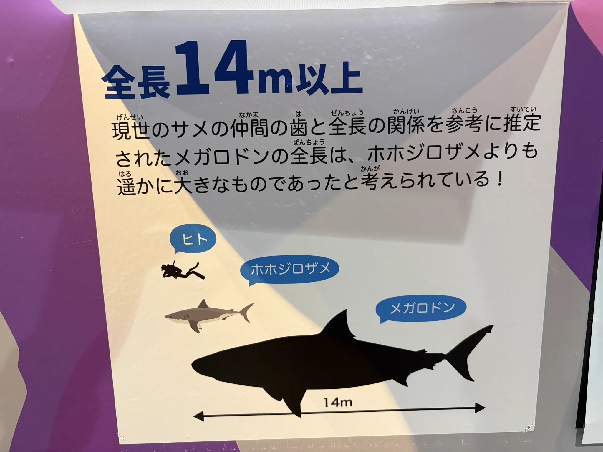 円/崎 on X: 
