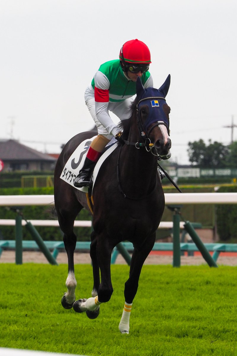 f_ltdexp_race's tweet photo. 2026.9.27
中山5R メイクデビュー中山 2歳新馬
ダイアナマリア C.ルメール騎手 https://t.co/V8YZgCOvn9