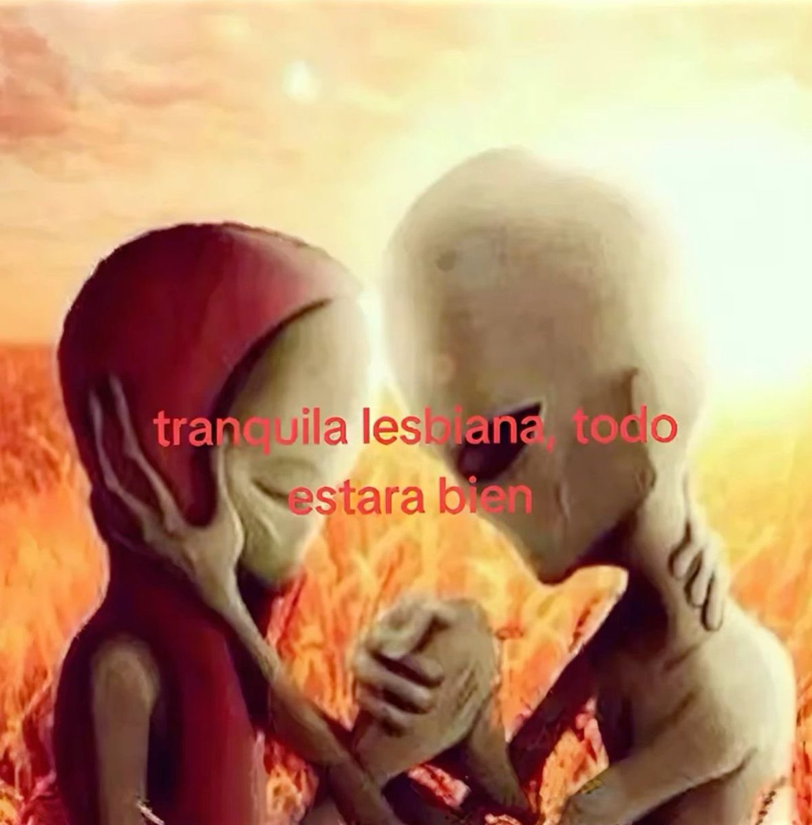lovelyriivers's tweet photo. tranquila lesbiana, todo estara bien https://t.co/s8GDQlI9zZ