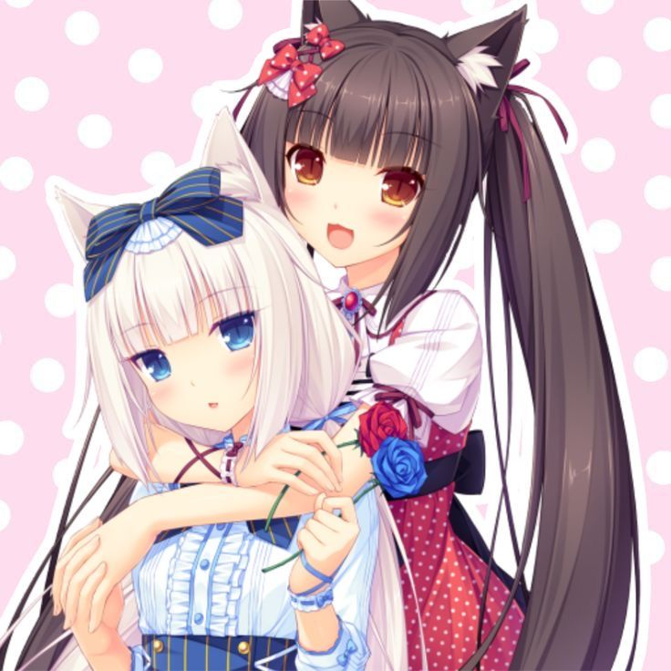kittenkaji's tweet photo. Me &amp; oomfs #nekopara https://t.co/wwBS6PHNe6