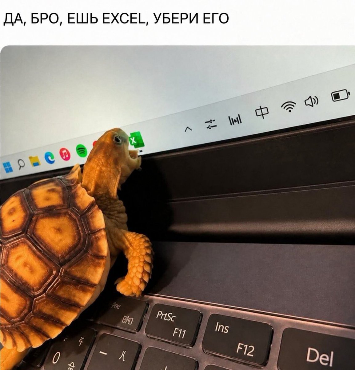 Gribanov's tweet photo. https://t.co/g3KKZIfQv6