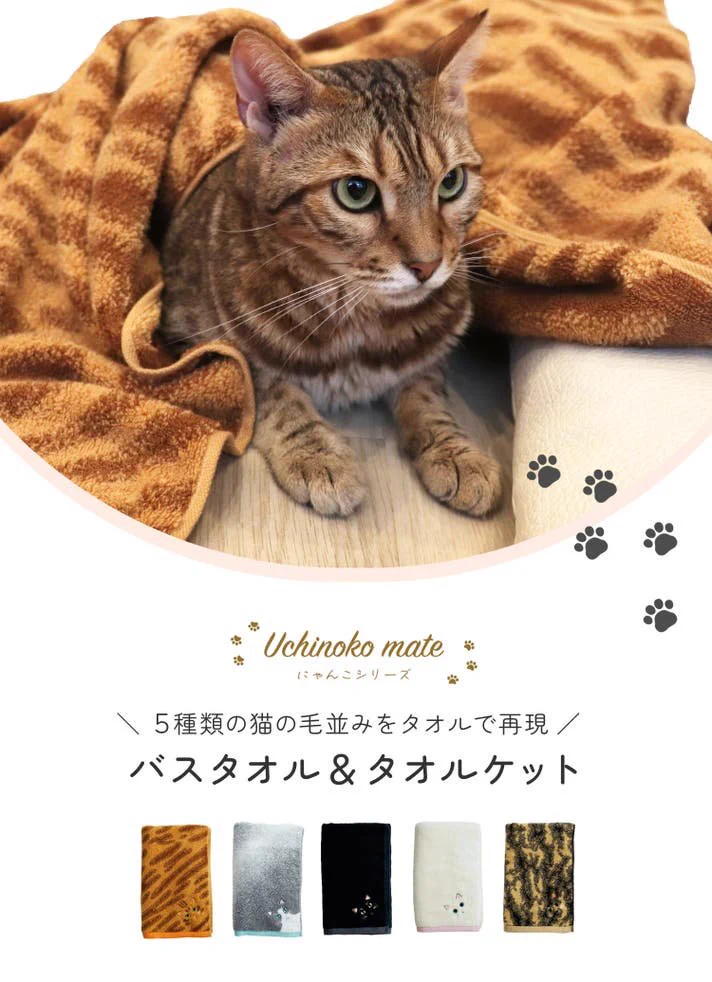 Makuake（マクアケ）【公式】アタラシイものや体験の応援購入サービス