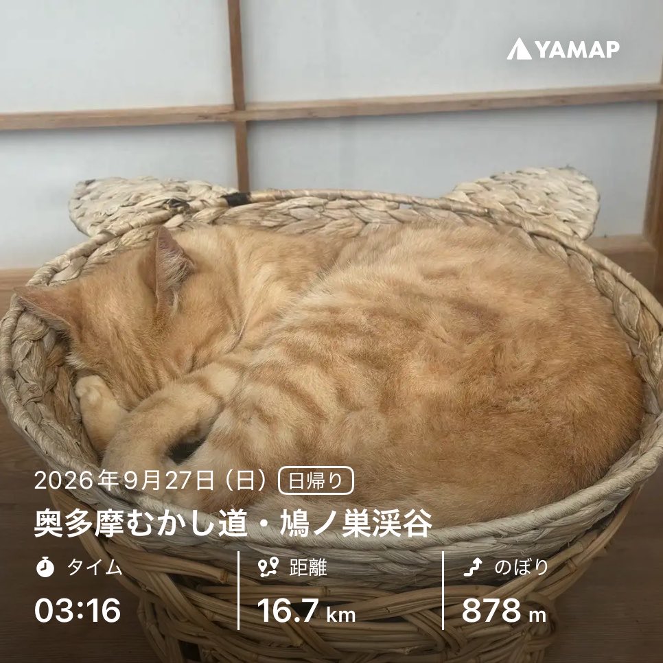 nsuehiro's tweet photo. 奥多摩むかし道・鳩ノ巣渓谷 https://t.co/MDvpqwWzOW #YAMAP #山歩しよう #hiking https://t.co/HAwdZMmsmU