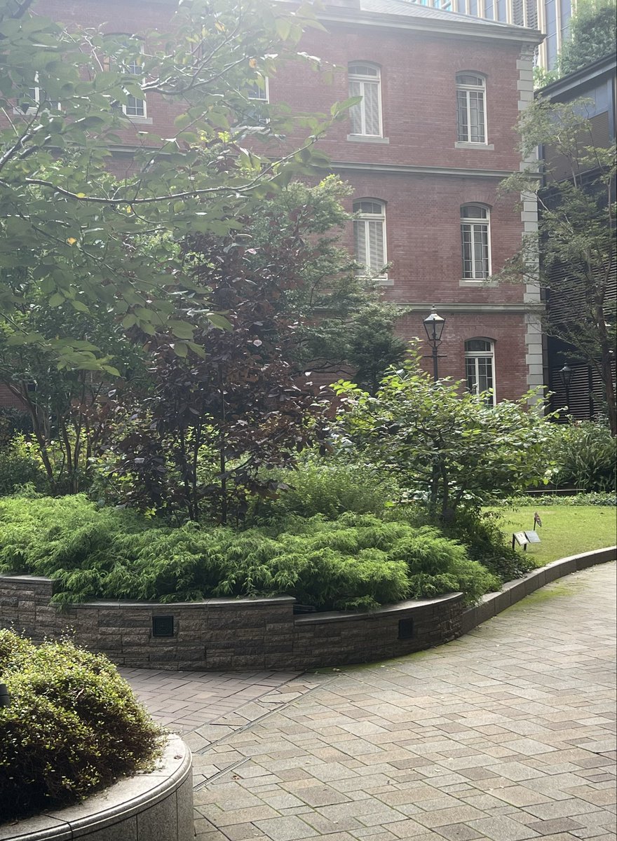 hiroyuki_fr's tweet photo. "カフェ”に集う芸術家――印象派からゴッホ、ロートレック、ピカソまで

会期終了を目前にして、ようやく足を運ぶことができた。
テーマの切り口、着眼点が面白い。

カフェやレストランに囲まれた緑の広場に面する三菱一号館美術館にとって、まさにうってつけのテーマ。

それにしても、カフェやバーに集い、議論を交わし、そこから創作へと向かっていく芸術家たちの姿が眩しい。

#カフェに集う芸術家 #三菱一号館美術館 #ピカソ #ヴァロットン