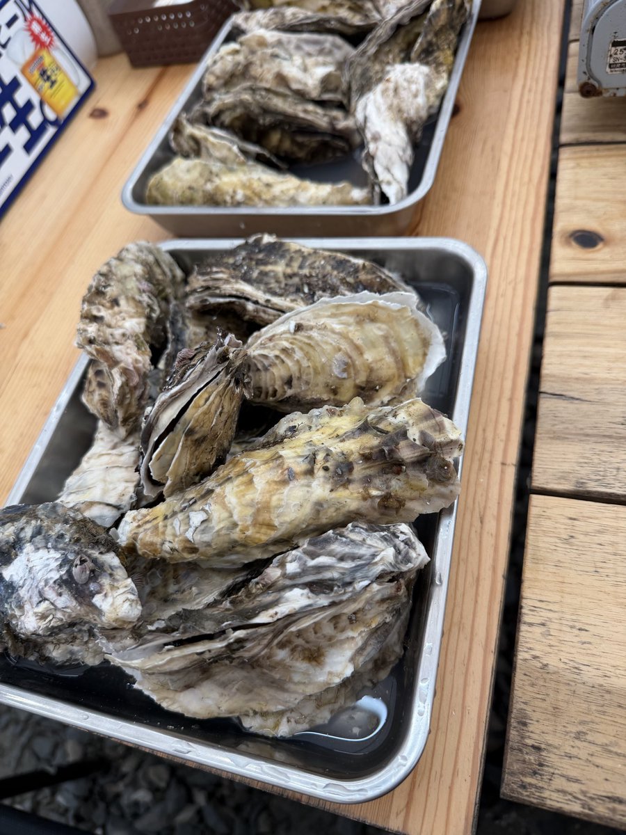 HAGEMUUTO's tweet photo. 昼飯！！！

やっぱ海鮮うめぇぇぇぇぇ！

新発見なんだけど

蒸し牡蠣

七味マヨネーズめっちゃ合います👏 https://t.co/z8qSvoyzQl