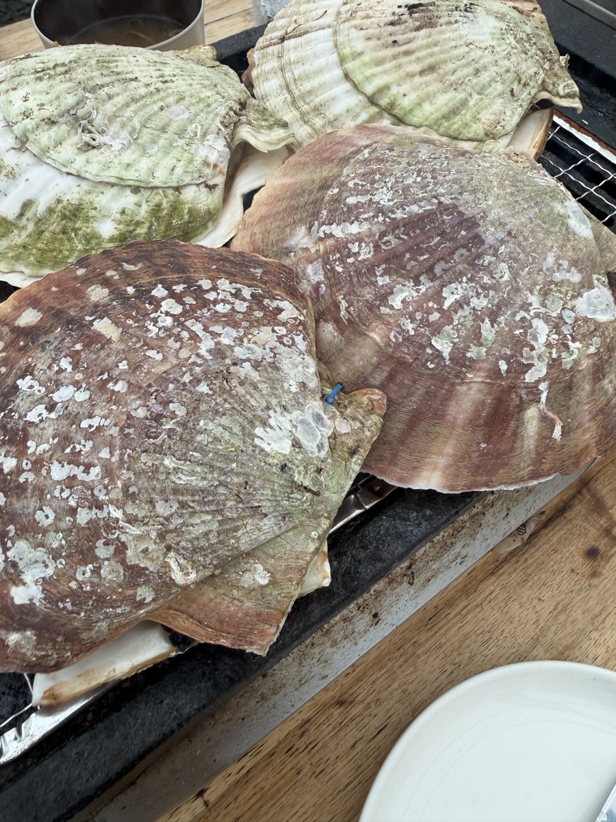 HAGEMUUTO's tweet photo. 昼飯！！！

やっぱ海鮮うめぇぇぇぇぇ！

新発見なんだけど

蒸し牡蠣

七味マヨネーズめっちゃ合います👏 https://t.co/z8qSvoyzQl
