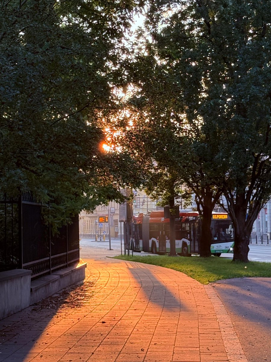 Miasto_Lublin's tweet photo. Dzień dobry, #Lublin 🌅 Słońce wschodzi nad miastem. Przed nami jesienna niedziela. Niech to będzie dobry początek dnia ☀️
#LublinCity #Jesien https://t.co/aL5vLhgmoK