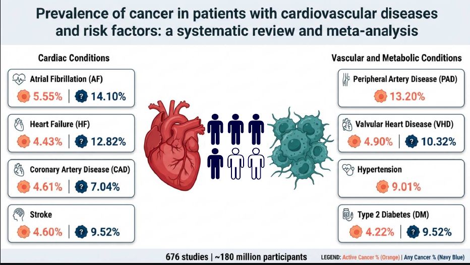 AkhmetzhanG's tweet photo. Our #metanalysis of 676 studies (n=~180 million) in @EJCI_News found that #cancer is a substantial comorbidity across CV conditions. Active cancer prevalence ranged from 4.22% in #T2DM to 5.55% in atrial fibrillation. #CardioOncology #Cancer #Cardiology @mmamas1973 https://t.co/0fqt8B0yu5