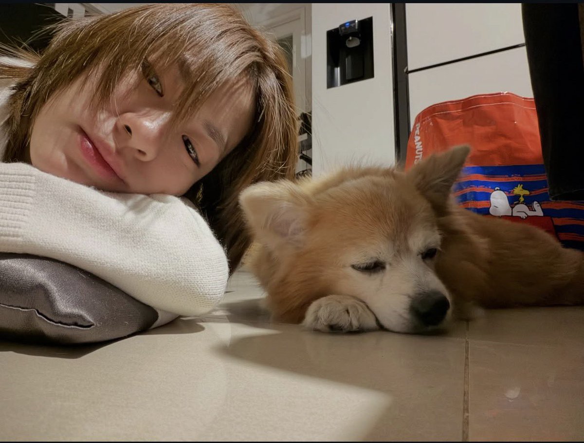 AuntieGooddee's tweet photo. มีใครพบเห็นพี่เอหมี กับพี่โชยุ มั้ยคะ 
เค้าพากันหนีน้ำ อยู่ที่ปลอดภัยหรือยัง 
เมียน้อยเป็นห่วงค่ะ 🥹 https://t.co/8aPL44U7tz