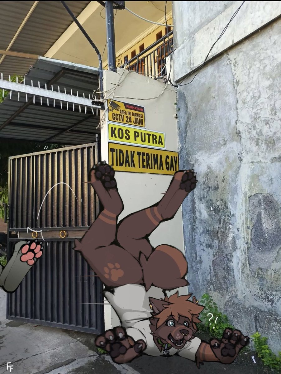 fluffybrownfox's tweet photo. They don't allow gayy here ???? https://t.co/tkHs2G3PPD