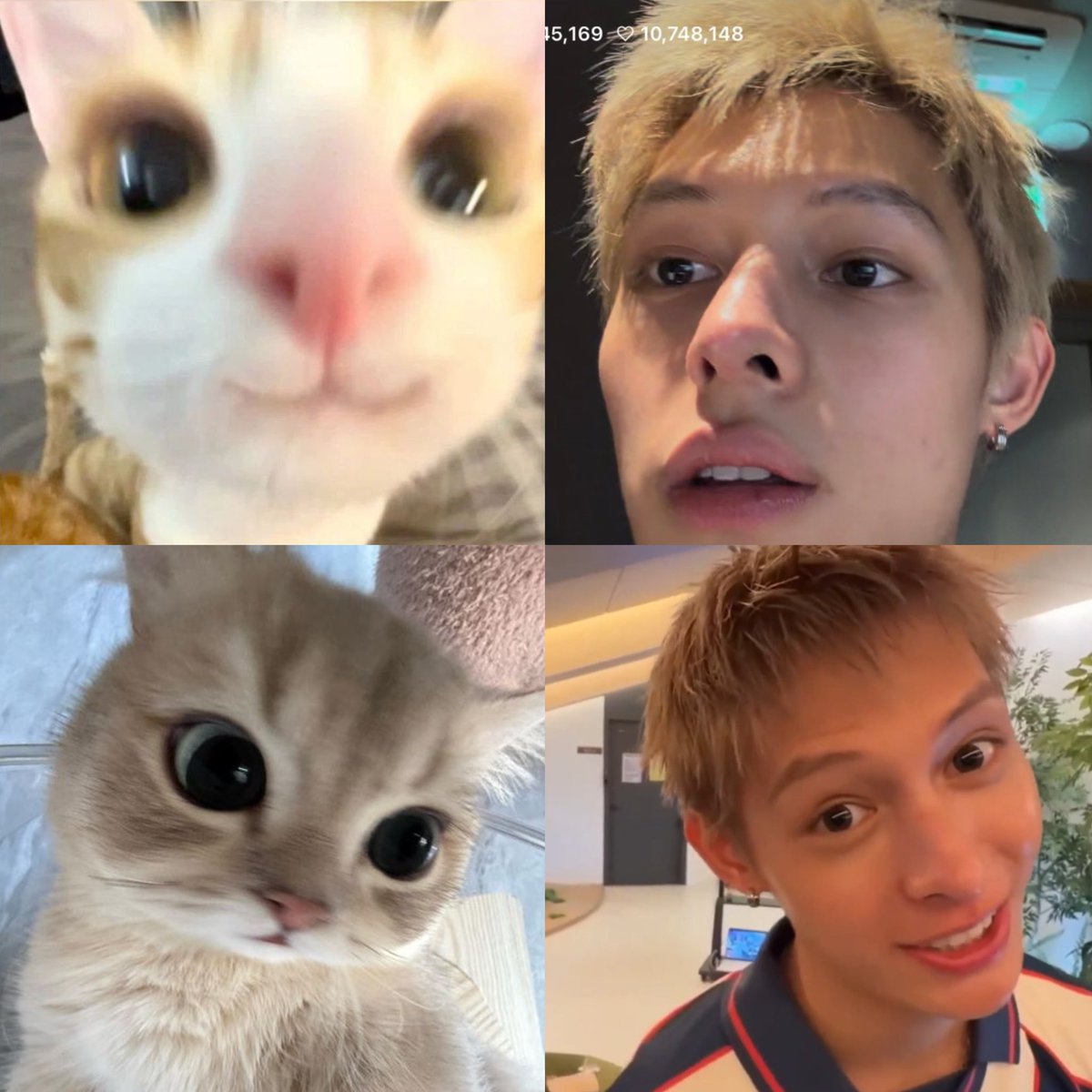 withcortis4life's tweet photo. i love my jjamicat so much https://t.co/tIQJiLBmkS
