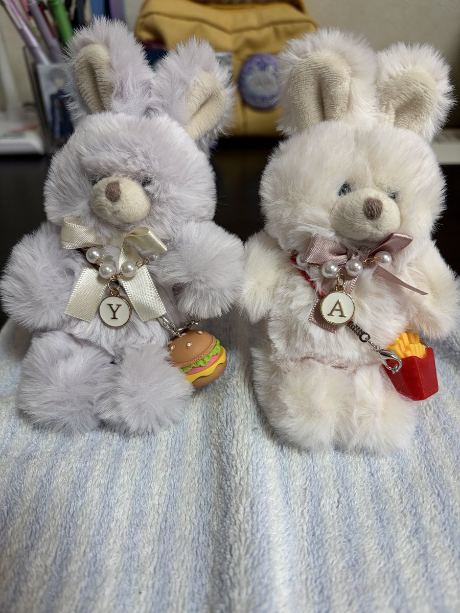 517u's tweet photo. ぬいスタンド買ってきたのでおすわりできるようになったやつはしとあかふく。おやつも買った☺️ https://t.co/PKTQnPZwod