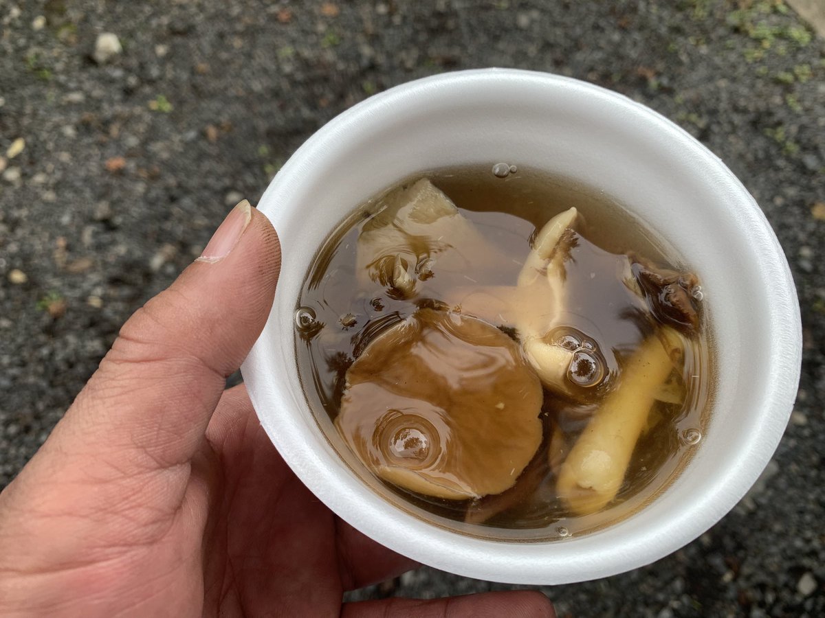 tamaetsubi's tweet photo. 原木舞茸を使った逸品や天然キノコの美味しさを堪能させて頂きました😋
#丹波山村舞茸祭2026 https://t.co/405Ij0PrhL