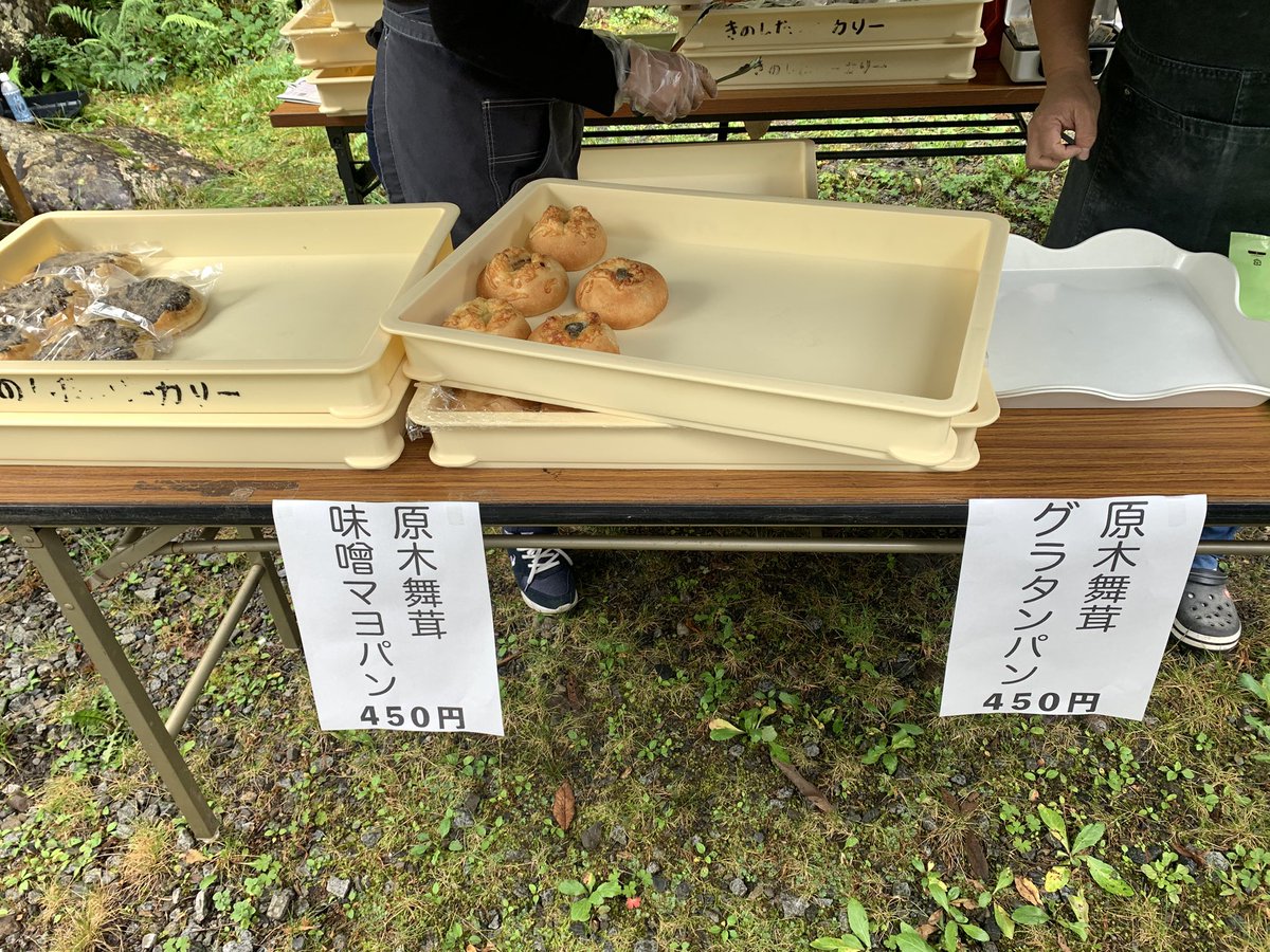 tamaetsubi's tweet photo. 原木舞茸を使った逸品や天然キノコの美味しさを堪能させて頂きました😋
#丹波山村舞茸祭2026 https://t.co/405Ij0PrhL