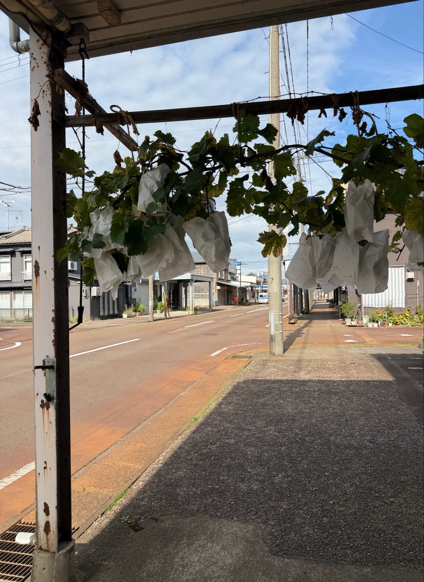 catflish's tweet photo. 徒歩パート https://t.co/A6ajRzhpf6