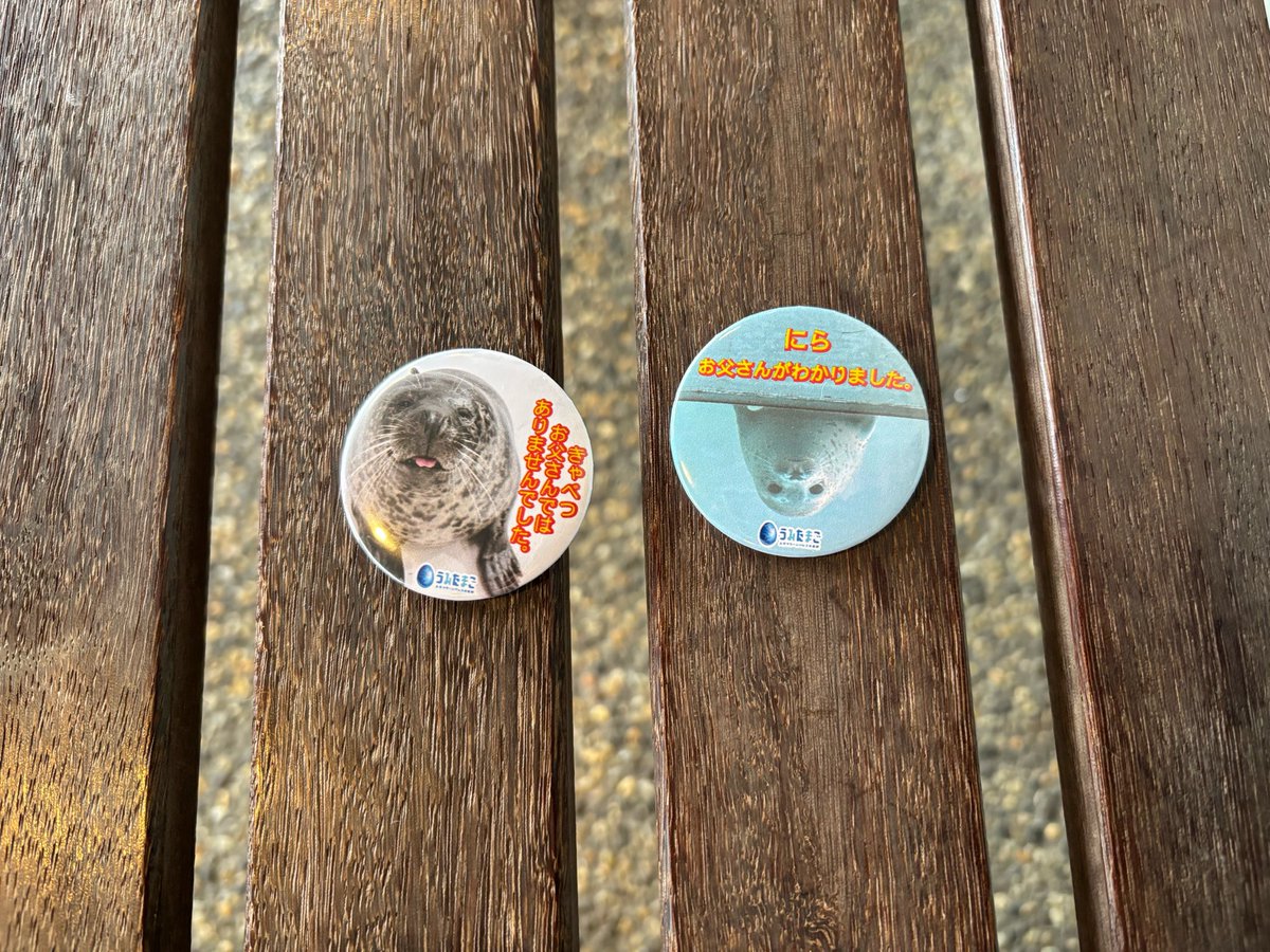 DzotB's tweet photo. 両親がツーペアあるので、2回回したら…
もう、辞めときます… https://t.co/hQqE74sUb2