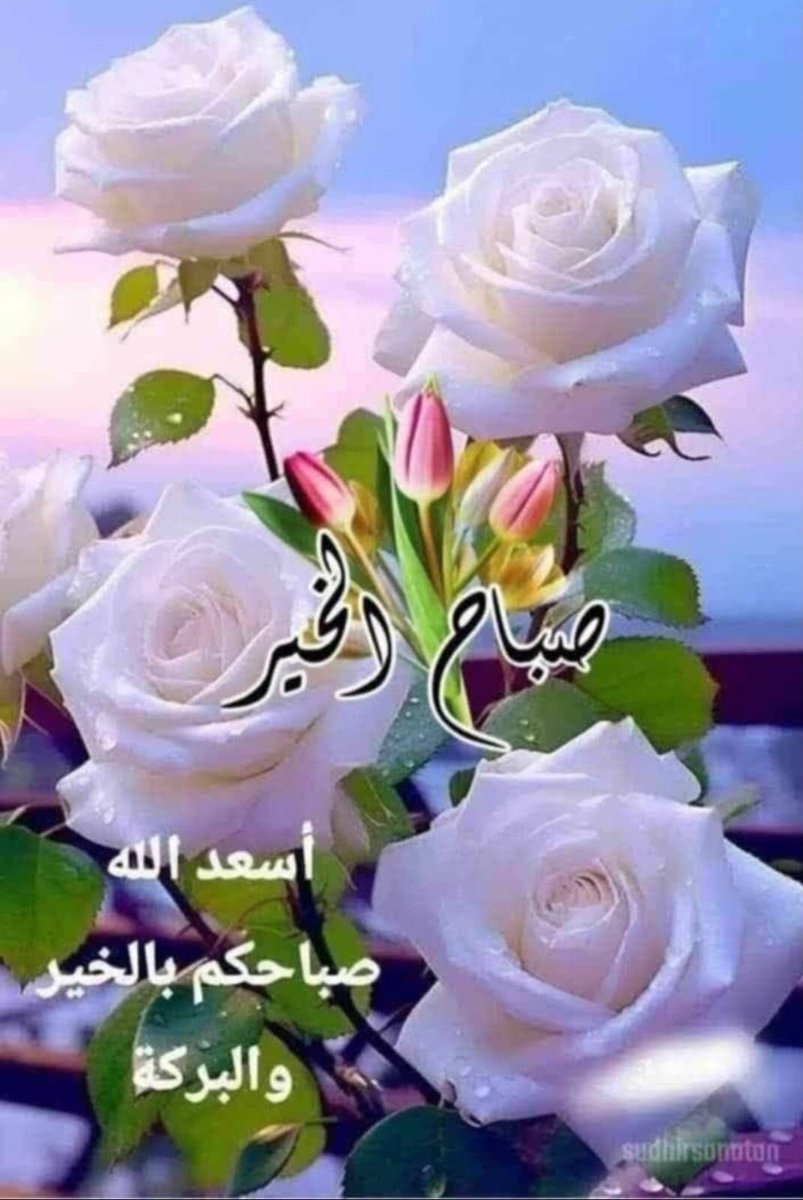 AshrafElsa28796's tweet photo. @GhrfhWhwl35430 https://t.co/k1g88ztpOP