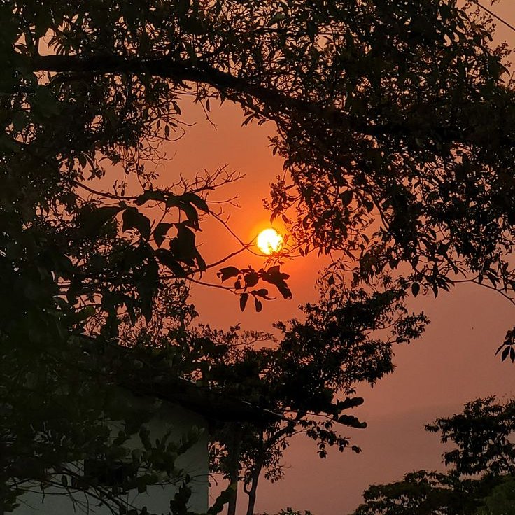 drewpanels's tweet photo. On this afternoon's episode of catching the sun. https://t.co/NbdoO6sWNq