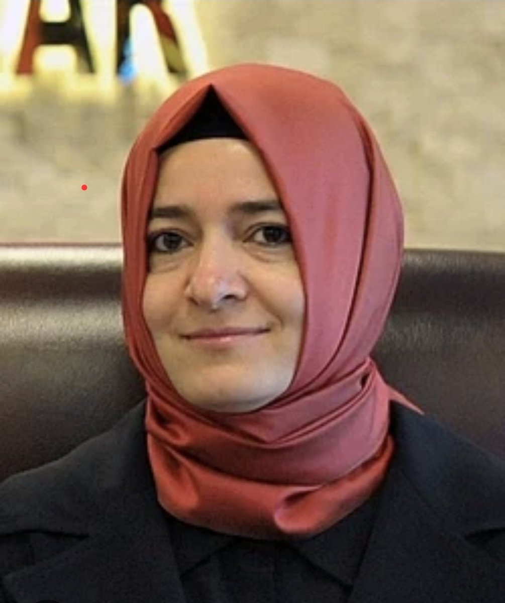 burhansesen's tweet photo. Ayın elemanı. https://t.co/Iki7bfxCI5
