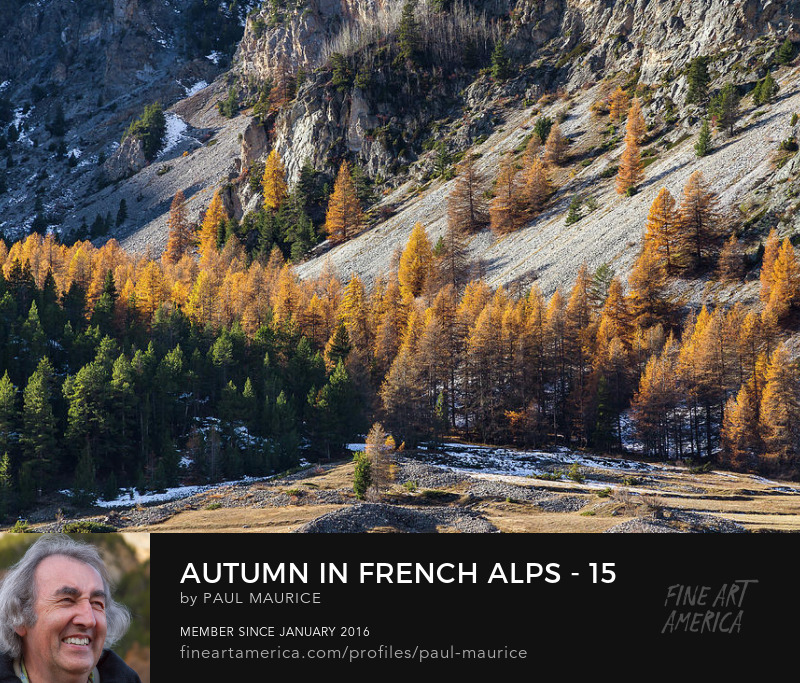 apollo0300's tweet photo. Autumn in French Alps
https://t.co/pKUxdCrpkk
#Autumn #ColorsofFall #FrenchAlps #HautesAlpes #PaulCMaurice https://t.co/WhkqyvCNek