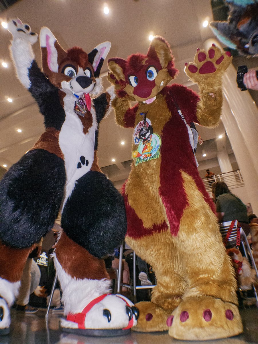 6staryote's tweet photo. waiting for this app to decide i am infact real #hi here's me and @alpineshep looking BIG AND SCARY https://t.co/g4pkp2qO6c