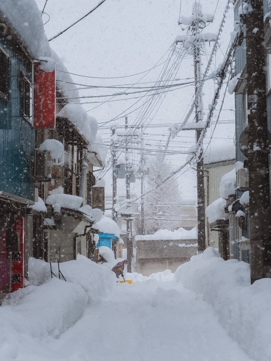 flower6260's tweet photo. Nigata, Japan https://t.co/VQtnuRMwMZ