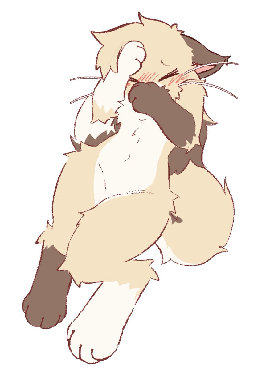 Not_Zofie's tweet photo. embarrassed kitty… https://t.co/foSNihYhyr