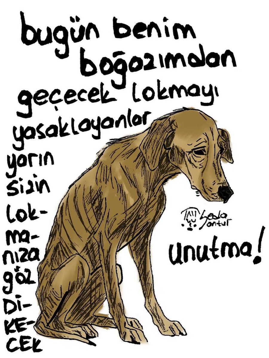 kip3lov1903's tweet photo. Nokta....

#BesledimBesliyorumBesleyeceğim https://t.co/7ky6EXZk1F