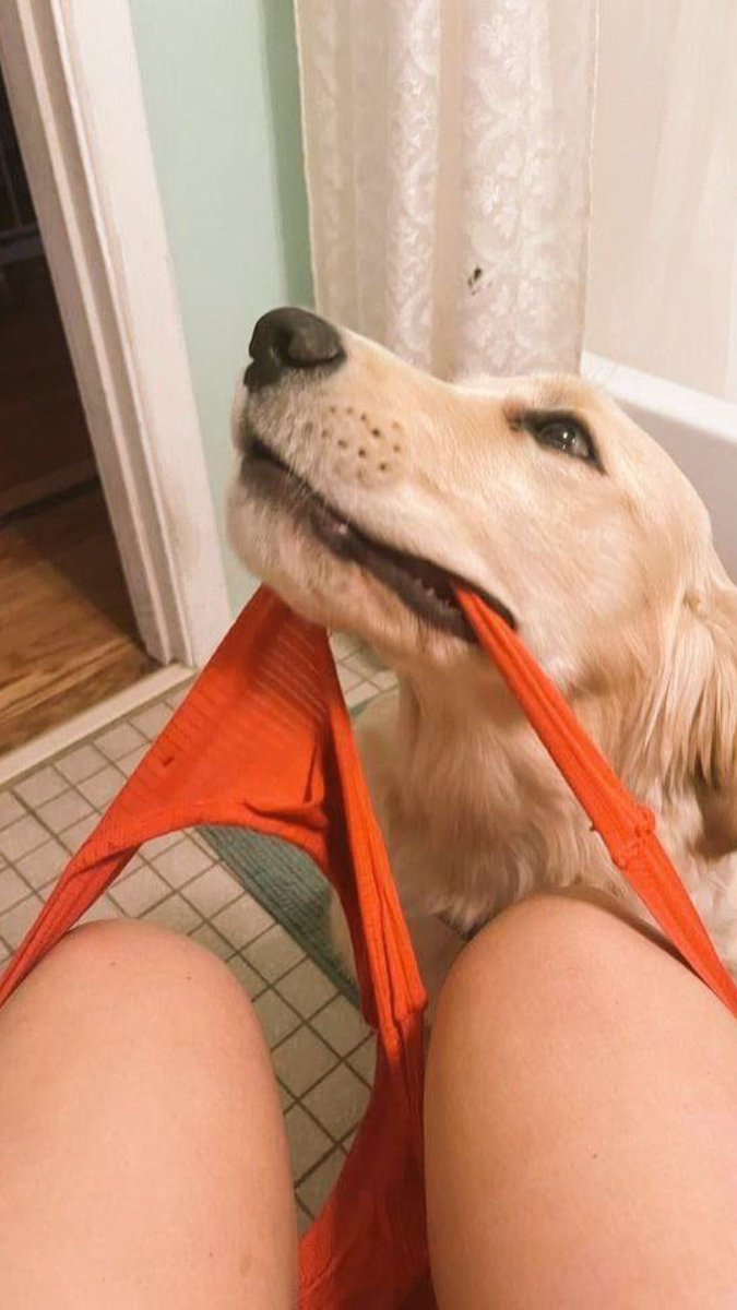 PardonJenny's tweet photo. DM me on my telegram channel
@ https://t.co/EgxecoxSYM
#dogsex #knotty #dogpill #dog #puppy #dogwhore #zoophilia #bestiality #doglover #dogknotting #dogwoman #transgender #dogwhore #artofzoo #artofzoofirsttime #pawlove #doglover https://t.co/Tp8gZUU6HZ