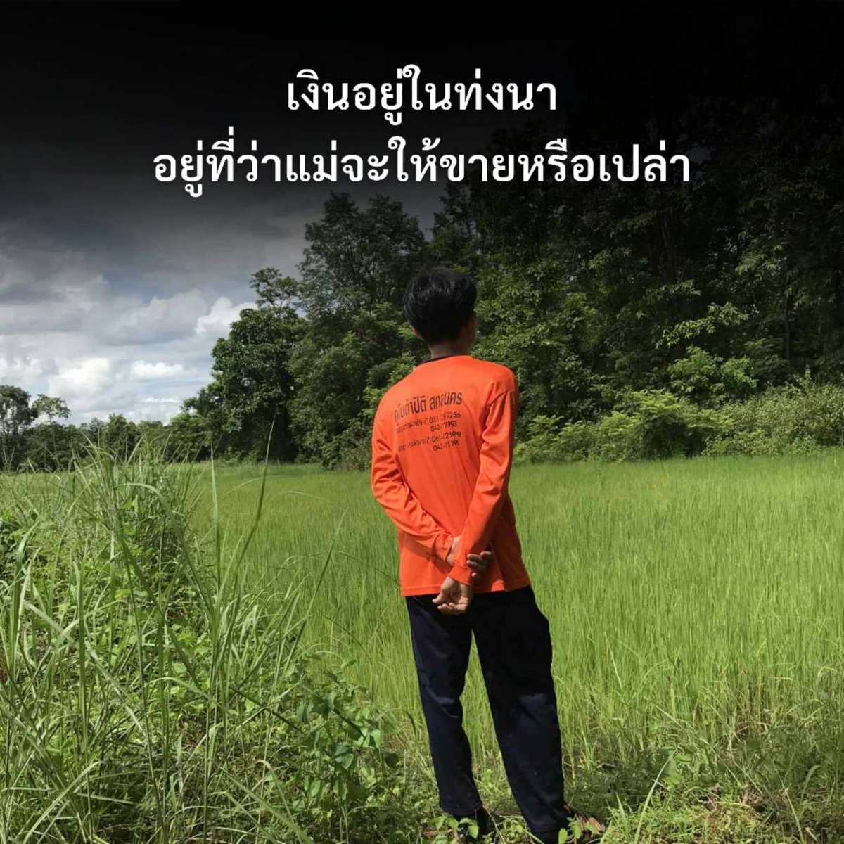 Suya_charming's tweet photo. หลอยข้าวไปขาย 👍 พอทน

หลอยลักขายนา 🙏 พอเลย https://t.co/CwBqSqab9L