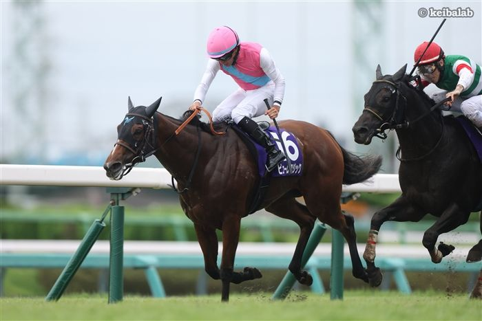 keibalab's tweet photo. 【快速少女はついに女王に】
26年スプリンターズS1着
ピューロマジック
Puro Magic
(牝5、栗東・安田翔伍厩舎) 岩田望来騎手
父アジアエクスプレス
母メジェルダ
母父ディープインパクト
#ピューロマジック #岩田望来 #スプリンターズS 
https://t.co/N1PBDwZfiK https://t.co/Ye1nV2iUgO