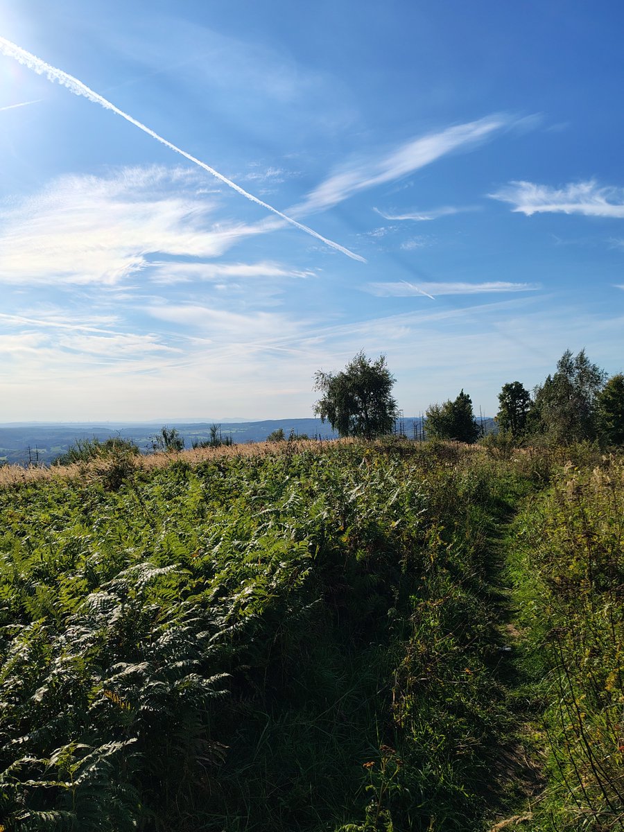 davstier's tweet photo. Muss mal wieder bisschen #Sundayrunday-Content geben👌🏼
Heute war ein wenig Leiden angesagt, aber Aussicht und Wetter haben entschädigt. Gute Runde.
18 km | 1:41:59 h | 426 HM | 1.424 km https://t.co/PfyjZ5VyOm