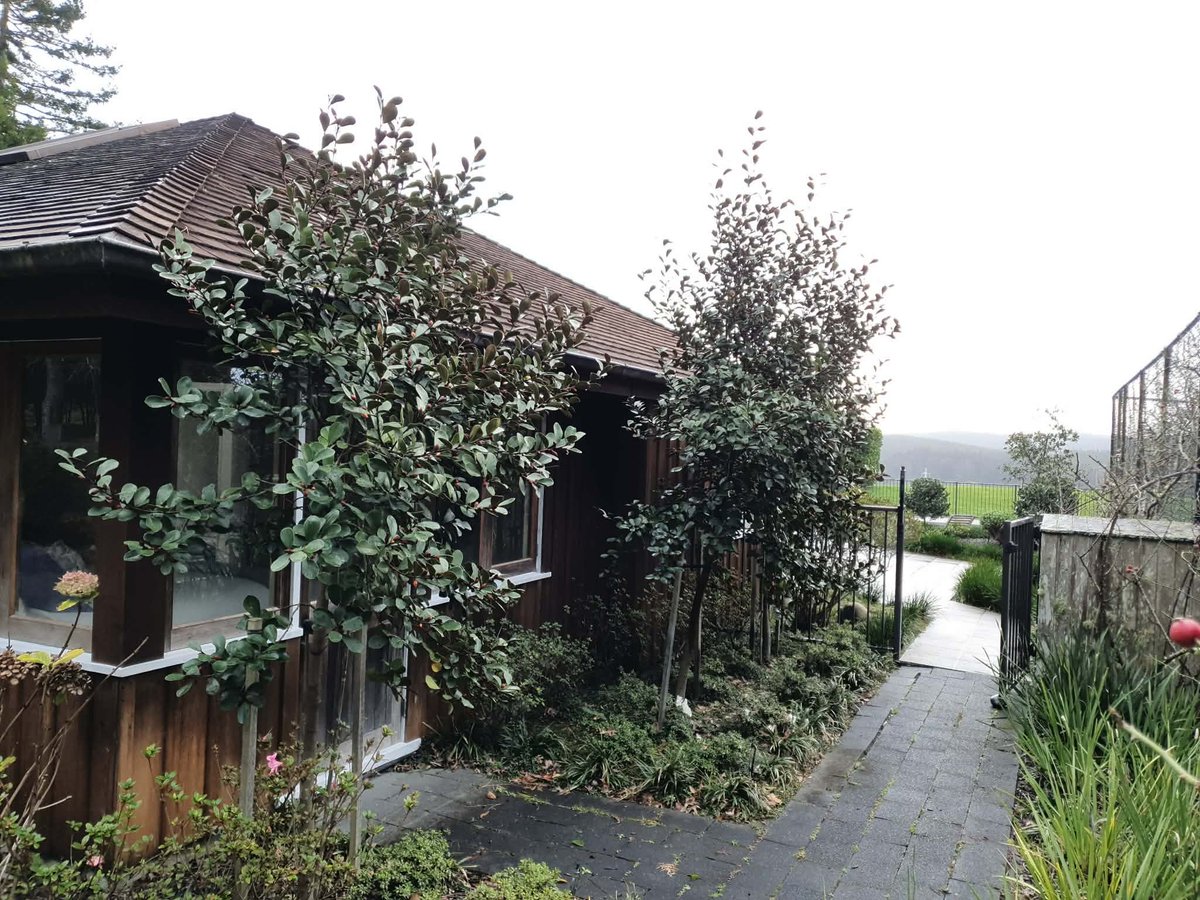 jayvanlent's tweet photo. 4 years later 😎✂️ you really need to take photos of your garden to look back on to notice the transformation over time.
#gardens #landscape #lovemyjob https://t.co/bRtTymPKkB