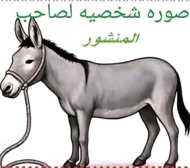 eb8_h's tweet photo. @awadhalabdan https://t.co/DpeSpS5Zaw