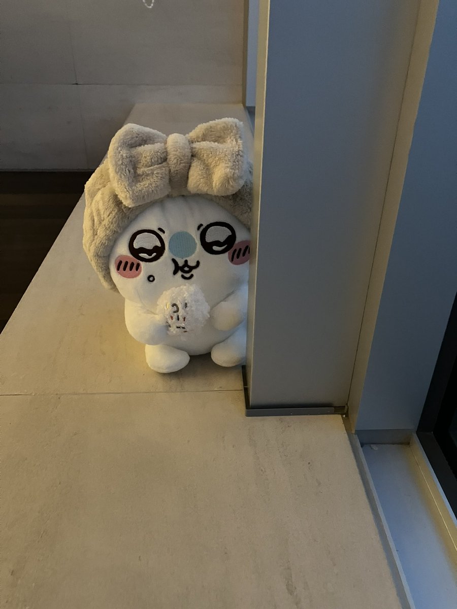 ikameshiya3's tweet photo. なにかうんまいものはないのかｯ https://t.co/uJjPPB224L