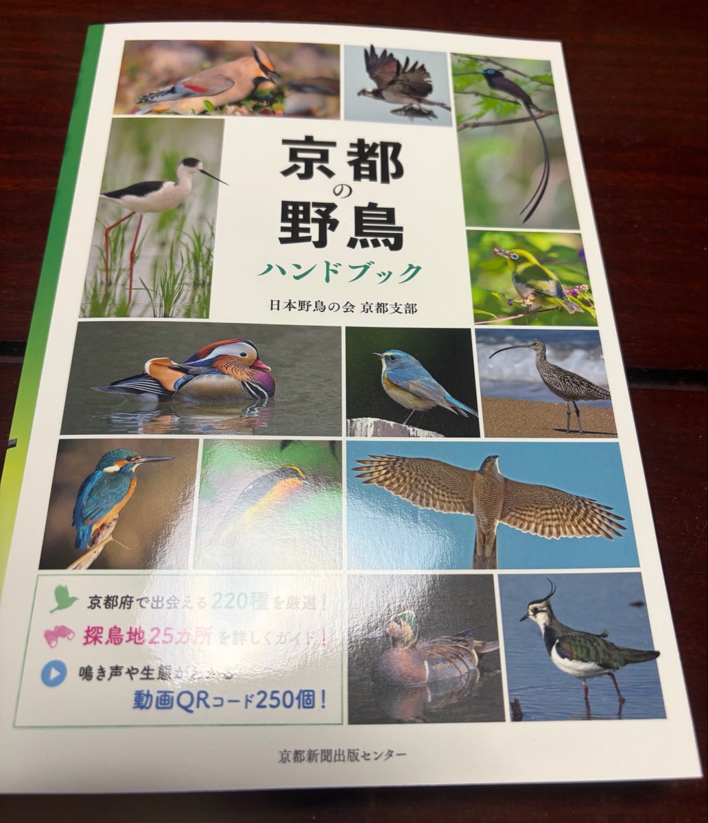 rinairu123's tweet photo. 会員だから支部報と一緒に届きました
有難く使わせて頂く https://t.co/kfXmOTc5Va