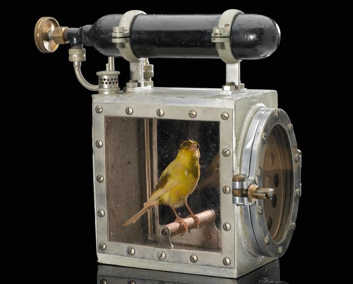Kyukimasa's tweet photo. Canary resuscitator（カナリア蘇生器）
https://t.co/qzCBrWWMSX
人間より一酸化炭素中毒になるのが早く検知器にしたとはいえ使い捨てにするわけではなく多くの炭鉱夫は愛着もって世話をし、昏倒するとすぐに窓を閉めて酸素を与えた https://t.co/JsT2Omhpna